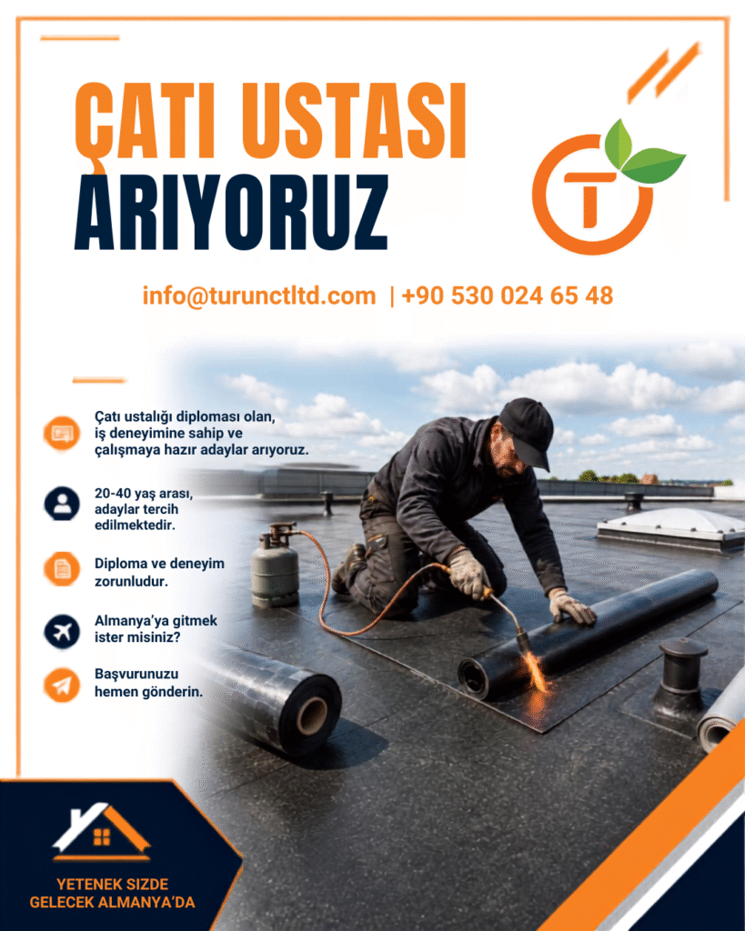 cati 6